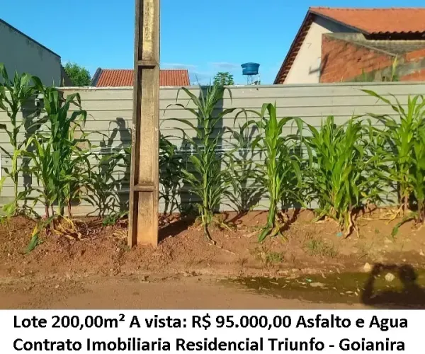 Leia a descrição: Lote 200,00m² (Asfalto e Agua) Residencial Triunfo - Goianira
