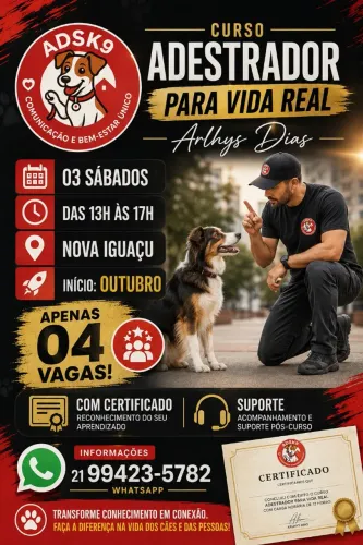 Curso de formação