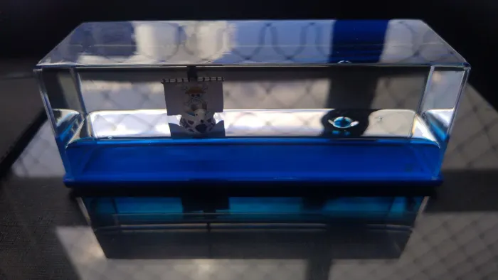 Brinquedo do Barco do One Piece