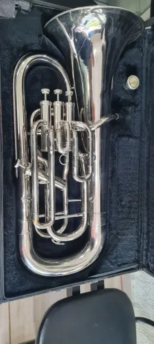 Bombardino Eufhonio Dolfin
