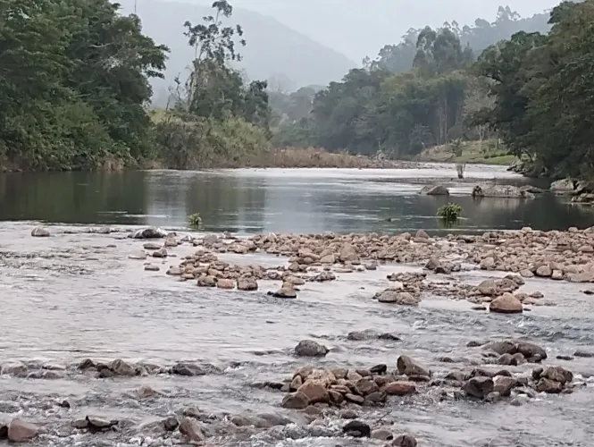 imóvel para construir junto a natureza