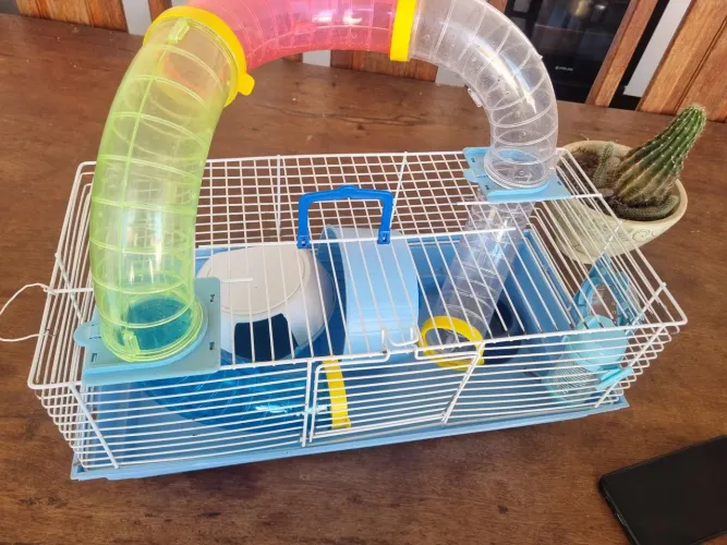 Gaiola Hamster