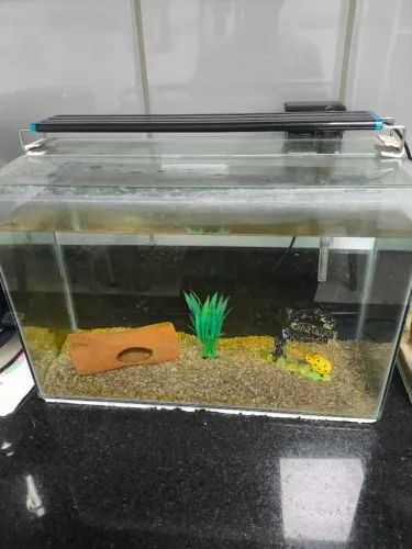 Aquário completo