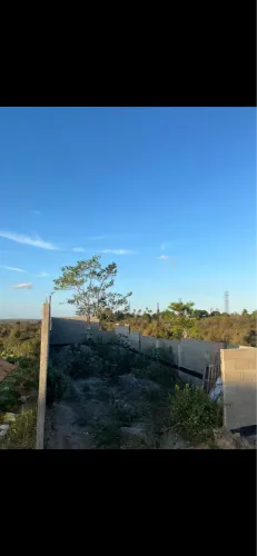 Terreno em Berimbau  (Conceição do Jacuípe)