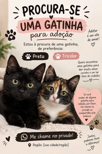 Gato