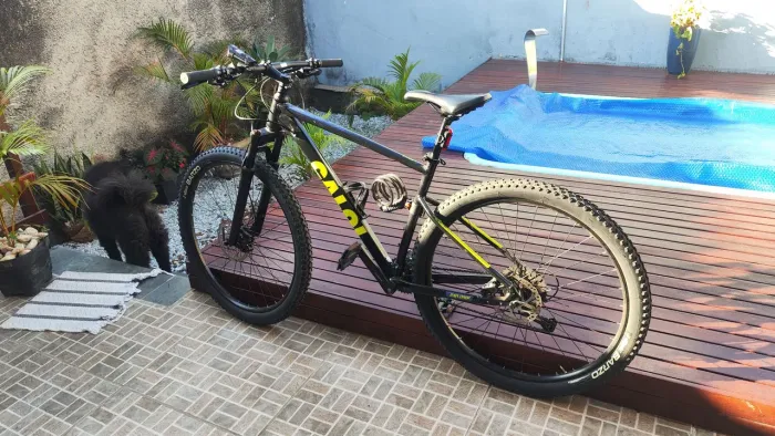 BIKE toda Shimano quadro 19