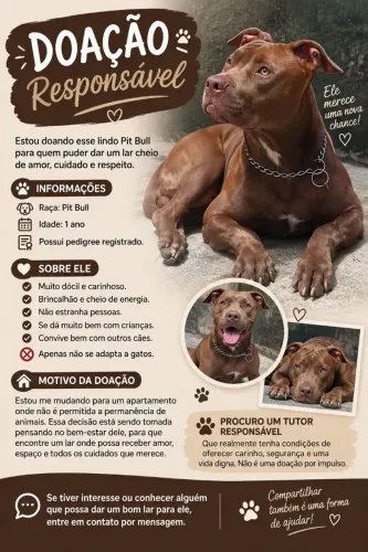 Doação responsável