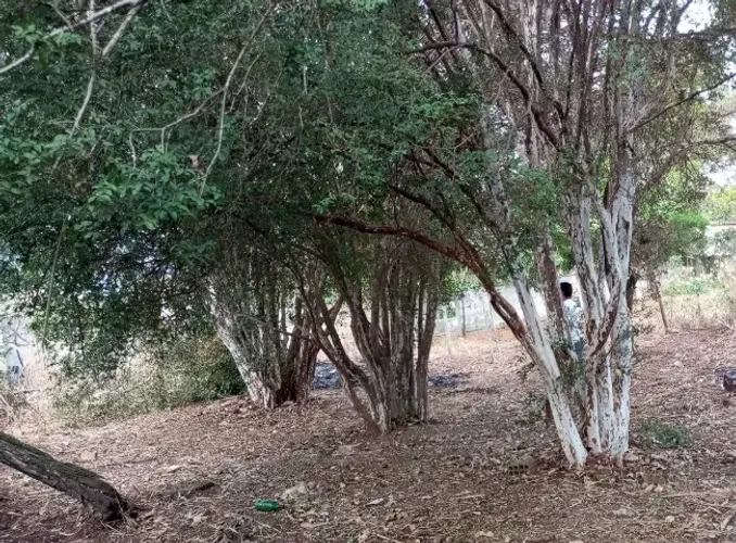 Lote 360 mts bairro Marimbá betim