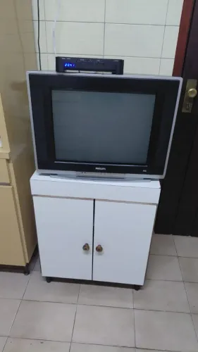 Tv Philips Real Flat 29