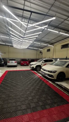 Estética automotiva 