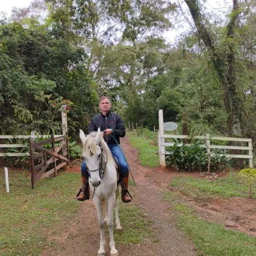 Cavalo Mangalarga Marchador