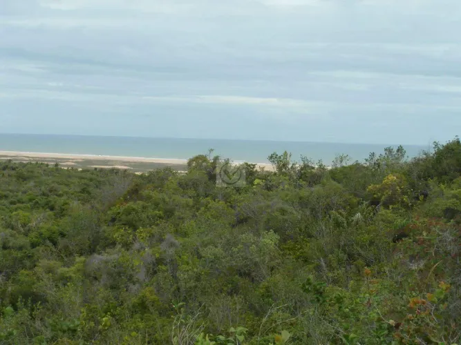 Terreno com 260.000m² no Distrito de Santa Isabel/Pirambu