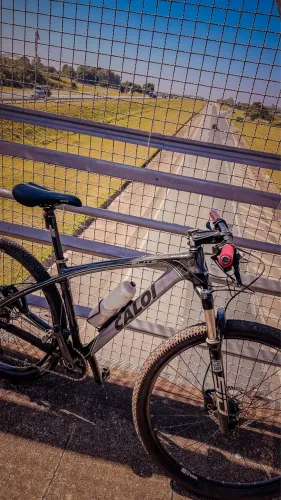 Caloi Elite Carbon