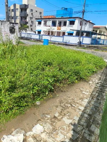 Limpeza de mato em geral 