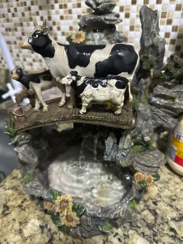Casca para decoração