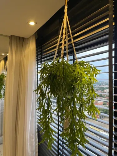 Cachepot pendente macramê folhagem artificial Chifre de veado