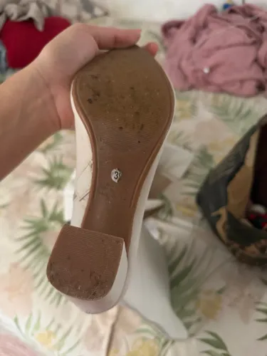 Bota