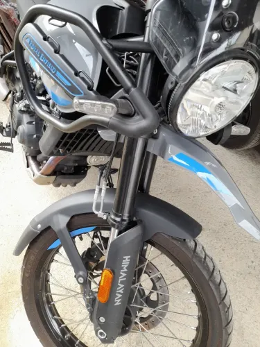 Himalayan
