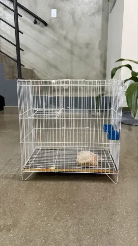 Gaiola para pássaro