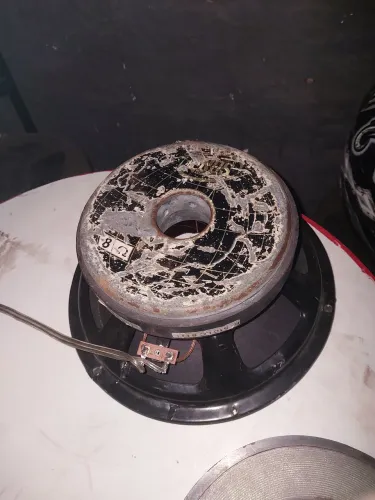 Par de Medios de 10 eros 500Rms