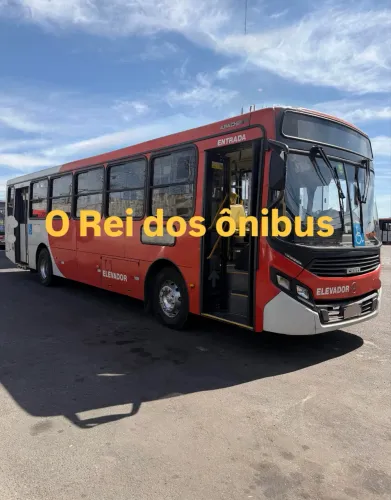 Ônibus urbano - Caio Apache Vip 19/20.