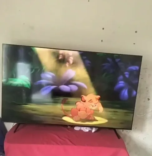 TV EM BOM ESTADO