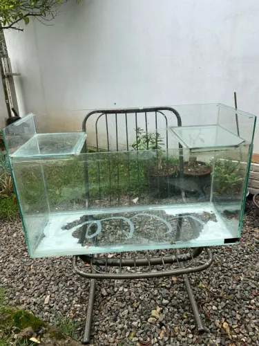 aquario