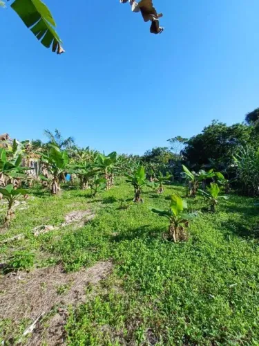 Terreno para Venda em Itariri, Ana Dias