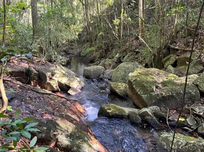 SÍTIO DOS SONHOS! 3,4 Hectares com Riacho e Pastagem | Natureza Exuberante 