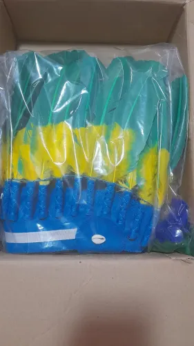 Cocar índio cores do Brasil