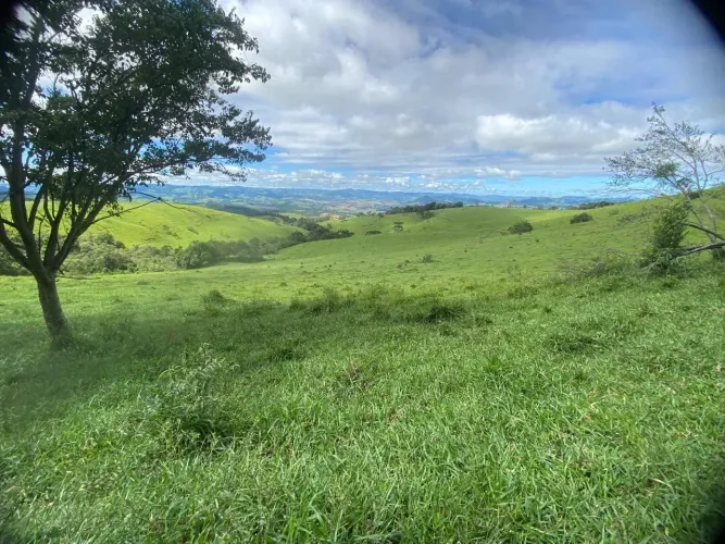 Vende-se Fazenda em Ouro Fino - MG