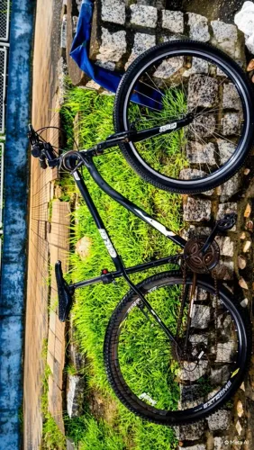 BICICLETA ARO 29