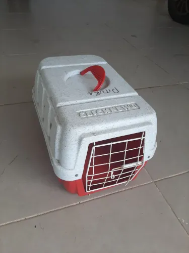 Caixa de transporte Pet M