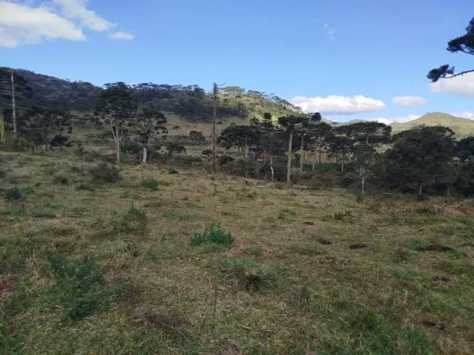 Lindo sítio em Urubici 