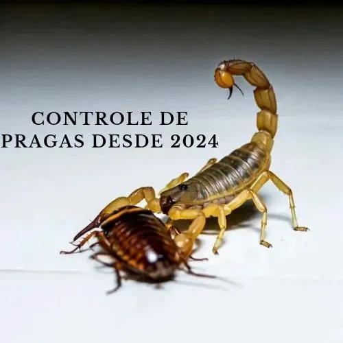 Serviço profissional de controle de pragas