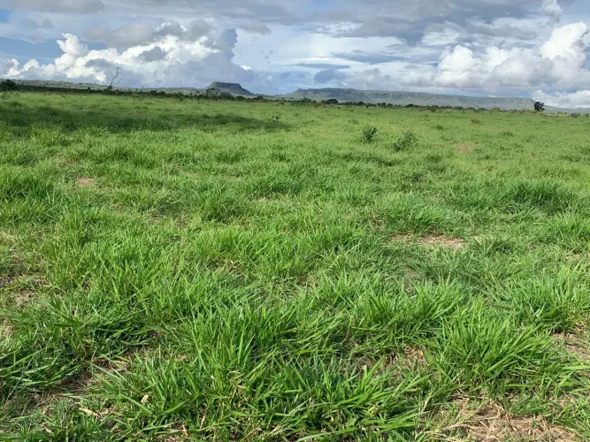 Fazenda de 500 alqueires a venda em Doverlandia-Go