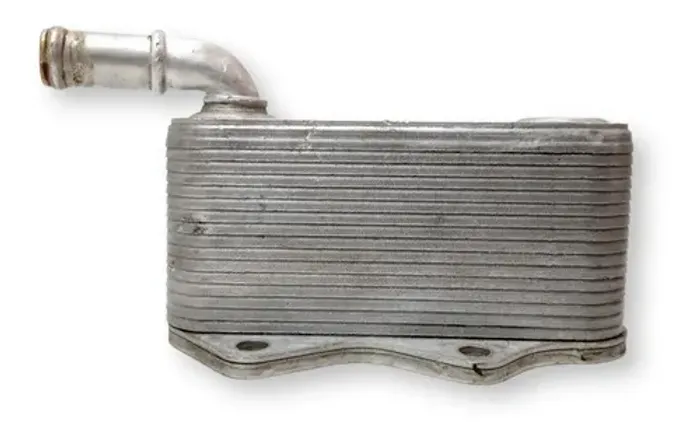 Resfriador Oleo Vw Passat B6 Fsi 2.0 Turbo 2008 2009 2010