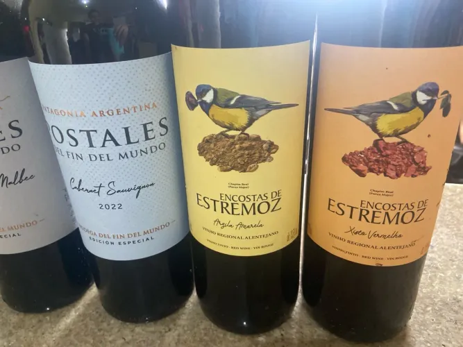 6 vinhos importados - Itália, Argentina e Portugal - Excelente oportunidade!