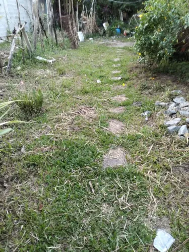 Terreno em São Thomé de paripe 