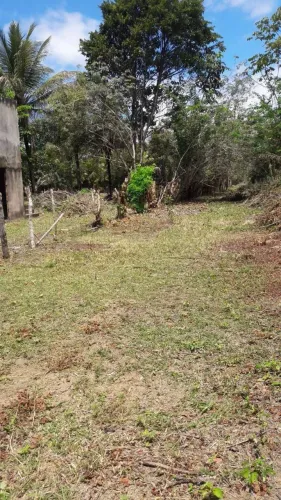 Oportunidade de negócio leia com atenção