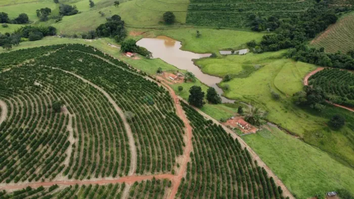 CAFÉ  PRODUÇÃO E QUALIDADE