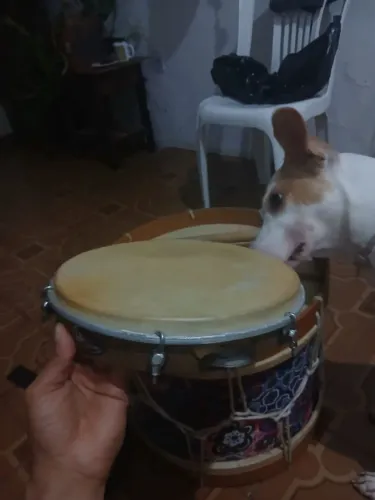 Pandeiro de couro