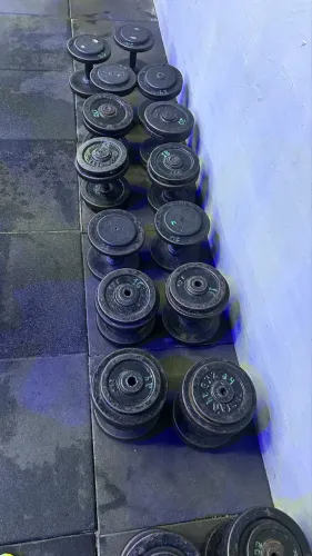Kit halteres 12 kg ao 24kg