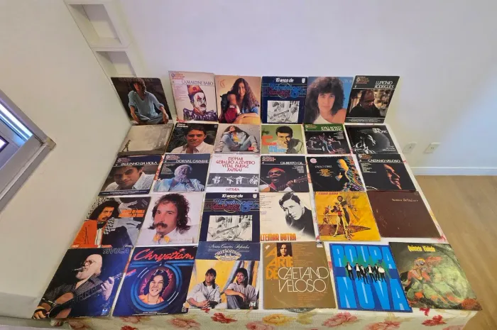 Lote 30 LPs Vinil MPB Clássica e Pop Rock - Venda do Lote ou Individual