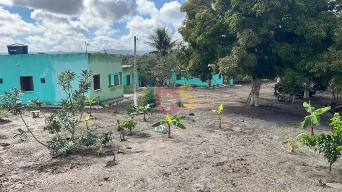 FAZENDA À VENDA EM URUÇUCA BANCO CENTRAL | 58 HECTARES