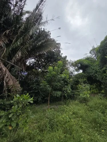 Terreno em área verde