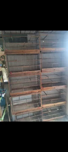 Gaiolas criadeiras