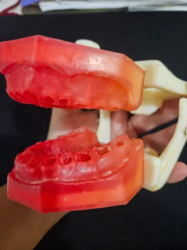 Manequim odontológico de Endo