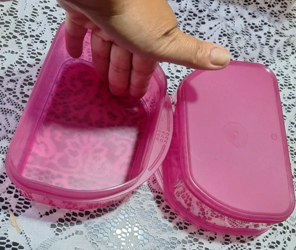 Porta frios Tupperwere