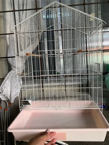 Vendo uma gaiola e leva de brinde um transporte na cor amarela